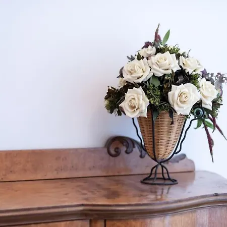 Loft Olmo Centrale, A/c Wifi Floransa